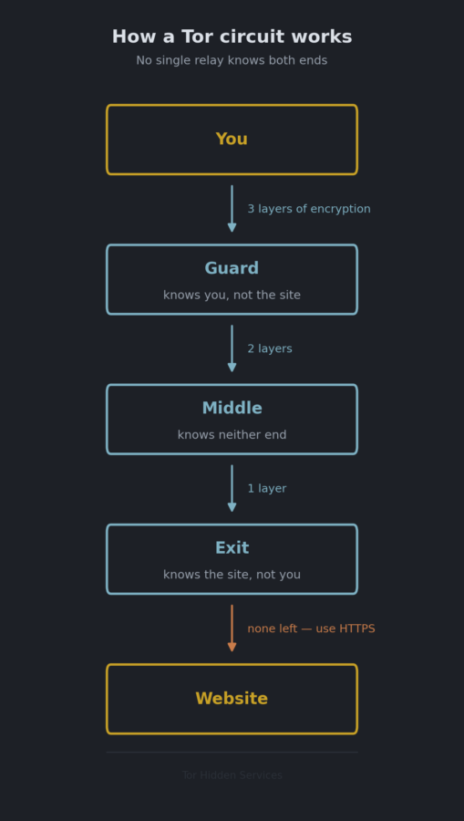 Diagram showing how a Tor circuit works: traffic passes from you down through a guard relay, a middle relay and an exit relay before reaching the website, losing one layer of encryption at each hop